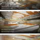 Illustration for article titled Engineers create real Back to the Future hoverboard and it really works